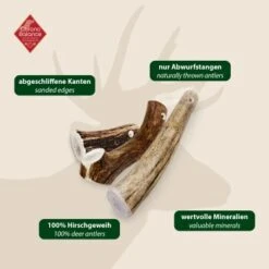 ChronoBalance Geweih Ganz (XXL) 2er Paket -Hundebedarfsgeschäft af79b1ab62f690deb0da53bed01d5f90a9e27e31 1418694 de DE 97f6faa2e066481717c6e9970bb381a3824303b8QNcbfh