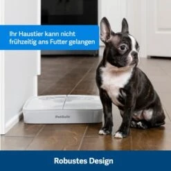 PetSafe Futterautomat Für 2 Mahlzeiten -Hundebedarfsgeschäft afccbd633c58c8351d6efc6cc5102f36b818906b 1343837 10