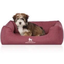 Knuffelwuff Orthopädisches Wasserabweisendes Hundebett Malou Aus Velours Mit Handwebcharakter Rot M-L -Hundebedarfsgeschäft b0cc14bd9884abc74f72c1258c4a58d5efdba82e 1411953 de DE c79547e5b18697fd5625708cd1e924e66fbde92cdJmDNU