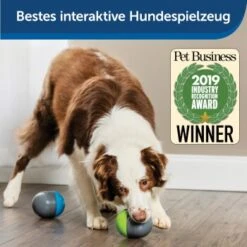 PetSafe Elektronisches Hundespielzeug Ricochet -Hundebedarfsgeschäft b0e03c7981d7ad3ec0477e37b3d66ccc09a968d1 1418724 de DE 07b83b0ea0af1925689955d5dc7b7d70349b29917MOEMY