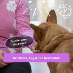 BeG Buddy Beruhigungsmittel Anti Stress -Hundebedarfsgeschäft b103d91cb68ed72492e1a80be5084c66da746197 1457250 de DE 08609e0fa51d07263b2814ccdd31d9130bc0e999N5hPoA