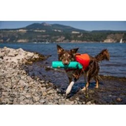 Ruffwear Lunker™ Spielzeug Blau/ Türkis 22 Ruffwear Lunker™ Spielzeug Blau/ Türkis -Hundebedarfsgeschäft b1ff74faaf51c648517e284bc677372b2de917b1 1364294 de DE 872baa13c3c684e3cd884d6a02e37e7e22ad686cLNC7EY
