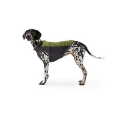 Ruffwear Climate Changer™ Fleece-Pullover Für Hunde Rot S -Hundebedarfsgeschäft b28669818d8fcb81e0661ed639732808849f280a 1369661 de DE 64aaf340211e6364e47cd57e7a205b9b6074a78fHTZZhE