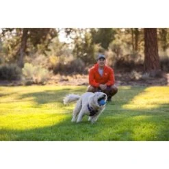 Ruffwear Turnup™ Spielzeug Violett 17 Ruffwear Turnup™ Spielzeug Violett -Hundebedarfsgeschäft b297424c99f6c4c64fb70c1798991e022e9af0a8 1639873 de DE 772f6730e07a190cf8e240f7f54c3321e1e88834D5P7Ps