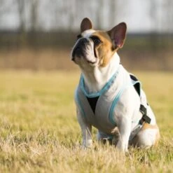 Trovet Suitical Kühlweste Dry Cool M -Hundebedarfsgeschäft b32e0654ab987d26790de796cf13d2e54cbed73f 1321386 de DE Trovet suitical 6 Kopie