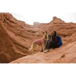 Ruffwear Hemp Hound™ Sweater Rosso M -Hundebedarfsgeschäft b5165b497ab2ca12deabc5b7372706595a781875 1639886 de DE 86e1a268a8e48c7c0eda07c50072b9e29b38b607mGQtvr