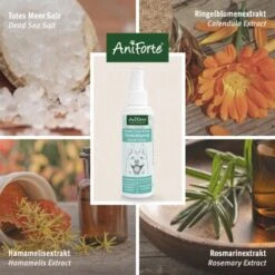 Aniforte Dentalspray Zahnpflege Spray 100ml -Hundebedarfsgeschäft b8c2494df30b706b215daba4b3b66c8a0a3adb3b 1439278 de DE f771ceb2289f6e14df78bea1815642d81ce3e3cf9ASqvV