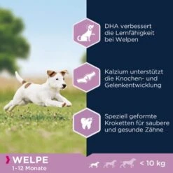EUKANUBA Puppy Small Breed Chicken 3kg -Hundebedarfsgeschäft bd372fd572052206aa32270ee7ac0e69e35de459 8710255120904 2