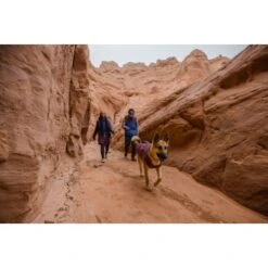 Ruffwear Overcoat Fuse™ Hundejacke Violett XXS -Hundebedarfsgeschäft be1df80a58a073c4a06905f9850fdb02868343c3 1639761 de DE 6b99be5157e3de813670a6d4268b03b177d774edbPJ4YO