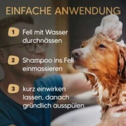 Neue Veröffentlichungen -Hundebedarfsgeschäft be59e8c873c9c55a34a4af87672e3f41c7ec8553 1626204 de DE 0e93cfef805ae9948cc20f31411a0ad2b476eab7e9RNIg