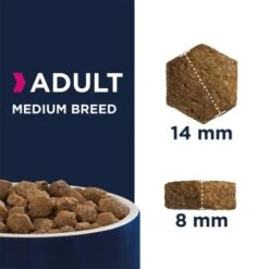 EUKANUBA Active Adult Medium Breed Mit Huhn 15 Kg -Hundebedarfsgeschäft bf65822fe0370303033059fa38f8339997a3575e d641f1d990fc673712c1ebab4fb6bf86b593ed88