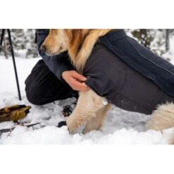 Ruffwear Cloud Chaser™ Hundejacke -Hundebedarfsgeschäft c08ed86245839b8fa7d59b47206e376a4924f862 1369625 de DE 87ed046f15d6c099e4f33a0b92b8494c495a6d97LL6Vmg