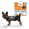 Thundershirt Beruhigungsweste Grau XS -Hundebedarfsgeschäft c22057e0edeaabdc851b9e8e6741a422484760ad 1102942 1