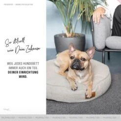 Freudentier Kuscheliges Hundebett Mit Memory Foam ⌀70cm -Hundebedarfsgeschäft c22bd91b01a6f6c6cf40d7b3d970e27a9fac14f9 1421322 de DE 52bf603f7a7b436d2e10fed70a6a039778ceaa33VNuXm7