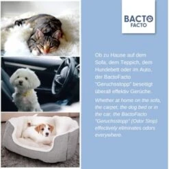 ChronoBalance BactoFacto Probiotischer Geruchsstopp Pads Für 2 Liter 20 Ml -Hundebedarfsgeschäft c27e75fc226c89e592b2af9866887997e79057a8 1397549 de DE 11eaf103bff429178d8c79950fc83faf63345183BU6JEF
