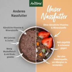 Aniforte Nassfutter Junior Menue Rind 6 X 400g -Hundebedarfsgeschäft c2e75b262ff12f83f839719a9483cddaad270737 1422191 de DE 3fda242879e219156dcdb1dcfd44b6fb4c8a39d7f9QLKX