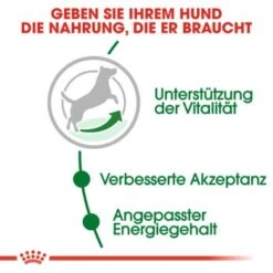 ROYAL CANIN Mini Adult 8+ 8 Kg 11 ROYAL CANIN Mini Adult 8+ 8 Kg -Hundebedarfsgeschäft c353b0de3f48a724e716c1c76485d0baab2f2c1c b5e80ca1f67a73b432838d9b8dc4feac61bcbeef