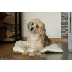 TrendPet Heaven Gefütterte Liegedecke Beige XS -Hundebedarfsgeschäft c5c66fc687d35a3e6773ef1448666519ab0b2e08 1247692 de DE 81f160c83e2294ffce25bd46e4e5f7822b6791cdSRCcNt