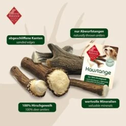 ChronoBalance Geweih Halbiert (XL) 2er Paket -Hundebedarfsgeschäft c62fd4dab39911907c4ee71db28f46157be5b583 1418688 de DE 902a389be4b99eb60431c66affbaefe4377d7689zLRDAD
