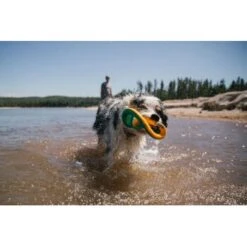 Ruffwear Hydro Plane™ Spielzeug L Blau/ Türkis -Hundebedarfsgeschäft c85f56c174e45f26bb8b85eb8209e1187b03cb62 1364299 de DE 9aa31f36273b943af3517e0584e57ea49be3ad7aNQkaUi