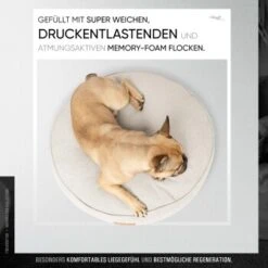 Freudentier Kuscheliges Hundebett Mit Memory Foam ⌀70cm -Hundebedarfsgeschäft c9c4030e85a722db82e0d5d72315a764143d6976 1421322 de DE aba7659006e3379a4fae3776601c05e4e3385ae0Z6rso8