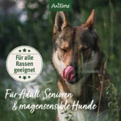 Aniforte Trockenfutter LandChicken - Zartes Huhn Mit Reis 2 Kg -Hundebedarfsgeschäft ccdccba22db20132f6ff6d85dd45b1297bf8942a 1668916 de DE ab8d93a2aba26d4d3d9191665a57d8e6fecc366ahRURHR