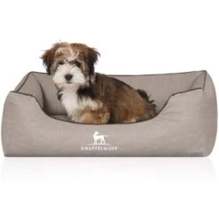 Knuffelwuff Orthopädisches Hundebett Rockland Aus Kunstleder Hellgrau M-L -Hundebedarfsgeschäft cddbe657f65275c958b8c0c7cf556c70e548410b 1411979 de DE 2db7865b3b4dcec9e1306995fbe3319c3155ec59hlJfQB