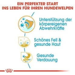 ROYAL CANIN Cocker Puppy 3kg -Hundebedarfsgeschäft d09db99df8977fd356bfbf3ec4e0d5dbd06d6685 9b48739b149c40776be9d6d9578e5bb5ac3f8aee