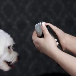 Moser Schermaschine Arco Pro -Hundebedarfsgeschäft d1c65d2d167a6d8fa4a6793a53ee3362d025451e ecb090312fbe9e8eac9c719cb575336bebaad472