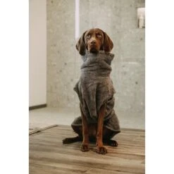 Lills Lill's Hundebademantel "Night Blue" 35 Cm -Hundebedarfsgeschäft d200b579b2b65ad9031ca5a6286c317e485ef232 1653379 de DE 98bc74239c4ab048310224eeb67c837697c0c318SRPWrI