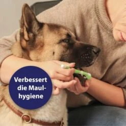 Canosept Zahnpflege-Set Für Hunde -Hundebedarfsgeschäft d3527ed20311c26905cc21d326812cefdd56476d 1382706 de DE f1dd7678e896b8abfecbaf661ecaf238a0e628638erujn