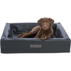 Trixie Vital Bett Remo 60 Cm, 60 Cm, 15 Cm -Hundebedarfsgeschäft d3d84c6ec3b3427726f4818575138e45f6a5cff7 1383482 de DE 950f9fc3ea4d1d66aa9353483ea99041785d3cdbW6zkYm