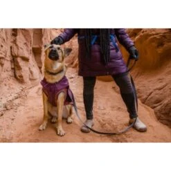 Ruffwear Overcoat Fuse™ Hundejacke Violett XXS -Hundebedarfsgeschäft d3f94d44f6e67346b4db3fd52a9a9b783d58a1b6 1639761 de DE f363d728c6c2883bd7afb3f30f0490bc0ed64f63oUWWPq
