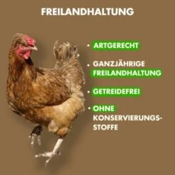 Irish Pure Senior - Huhn + Gemüse & Kelp 1,5 Kg -Hundebedarfsgeschäft d54317725b7873fef00062937931f1c99171a5cd 1360185 de DE 57db6b684433bc472c362a1c3e738f1044e02763rqhmsm