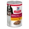 Hill's Science Plan Adult 12x370g Huhn -Hundebedarfsgeschäft d6eb1917ac461acc985c6b7f429f87a09c886565 52742050782 2