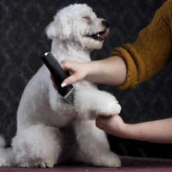 Moser Schermaschine Arco Pro -Hundebedarfsgeschäft d94979d61f2023cf0118c8257a8bd4066fa8858b ed4a0b808fc43743a84927566ac43a708eadd5ba