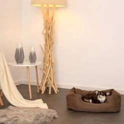 Lionto Hundebett Mit Wendekissen Meliert S -Hundebedarfsgeschäft da1652eacbf064171e9e0e9da4ceba9377d5ea08 1657960 de DE 656337e4d1290a59374f1992093789c3e8808553mhNhLE