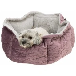Trixie Bett Estelle Samt-Optik ø 50 Cm Beere/ Grau -Hundebedarfsgeschäft daaa6a418407f3b2da35519aef8fc7bc380fccc8 1378629 de DE Trixie 5