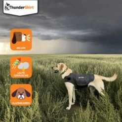 Thundershirt Beruhigungsweste Grau XS 14 Thundershirt Beruhigungsweste Grau XS -Hundebedarfsgeschäft dba829e1909f5c4f6710e4085b27664b9bf6ac3e 1102942 2