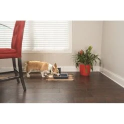 PetSafe Digitaler Futterautomat Für 2 Mahlzeiten -Hundebedarfsgeschäft dd3fb1748ad72abb1dbd97f6f077b00bb4d76d05 1291255 de DE cf72a75b3fd4f7fd8b7e51ea368585b22239110fFJga5O