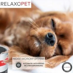 RelaxoPet PRO Entspannungs-Trainer HUND -Hundebedarfsgeschäft de224d287be26c0354854993fb0e65239f9ec826 1315705 de DE a310aadac7db671f3faae759d92e591bdad669dc4yLyHE