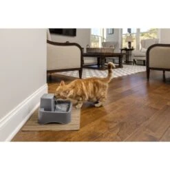 PetSafe Trinkbrunnen 1,8 L -Hundebedarfsgeschäft df488cf045110a6e0d24fcded3d81de07583d88a 1323706 7