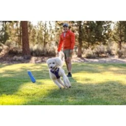 Ruffwear Gourdo™ Spielzeug L Violett -Hundebedarfsgeschäft e0043bb37798e694605eafae31f43ab1b08a1b0e 1639892 de DE 14d32b95607116f791fa89977cce0163703631adnlxQik