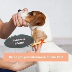 BeG Buddy Fellspray Zecke -Hundebedarfsgeschäft e05fb8c1920f2e573fafef044153c998eb8f5545 1457254 de DE 63a126b80b7d9e0aa8ab282c68063502986b24b8TjwttC