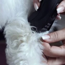 Moser Schermaschine Arco Pro -Hundebedarfsgeschäft e0e0c1d7288b58017c6b92e80ee9275ce61a1f90 aeea9f17acf5fc98841bc97d7cdf93fd999cc50f