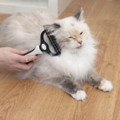 KaraLuna Unterfellbürste -Hundebedarfsgeschäft e0e7f4b3ef49c70421b21094c2615519c93a1a3e 1407475 de DE 78030a6cd3af146aa7eb3f83fa2322b52c78816a2jpF0U