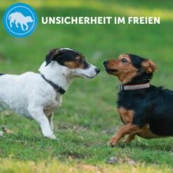 ADAPTIL Calm Halsband Anti Stress Erziehungshalsband S-M -Hundebedarfsgeschäft e220fc002f83144152ad7157c15120ad2d9d8471 1204441 8