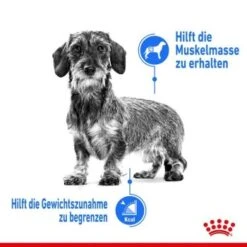 ROYAL CANIN Light Weight Care Adult Pouch 12x85g 6 ROYAL CANIN Light Weight Care Adult Pouch 12x85g -Hundebedarfsgeschäft e25126e3d9ad03dfb13ab3dcd0b7898f21116a49 db099535ca14d5ccab562c519a3a458f233df36c