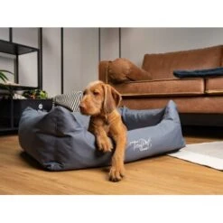 TrendPet Viscado Orthopädisches Hundebett Grau S -Hundebedarfsgeschäft e3085ac3bd300c2cb1b93e036022a0cce5e9ad00 1223491 de DE 9354cb70cec83749c3d5c1a85e99e98471884a1bP95Ter