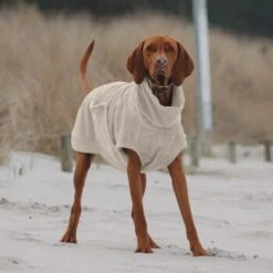 THE DOG IDEA Bademantel Every Beige XXXS -Hundebedarfsgeschäft e3729773c9f5b61c18a464eeb5076e81a866013e 1472946 de DE ac504db57b88122680c4cb56470ea23721b69c99VnzO7V